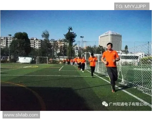 杭州飞盘队在极限运动会中的战术分析与表现评估 杭州飞盘队在极限运动会中的战术分析与表现评估